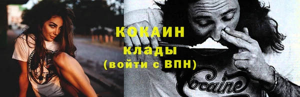 шишки Дмитриев