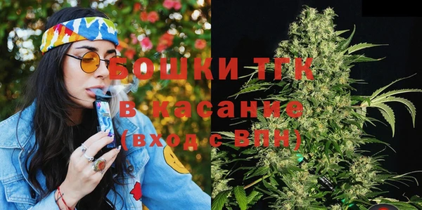шишки Дмитриев