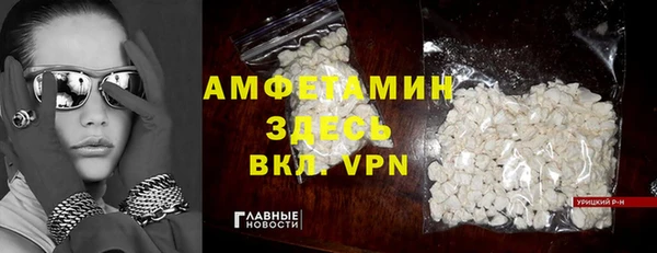 шишки Дмитриев