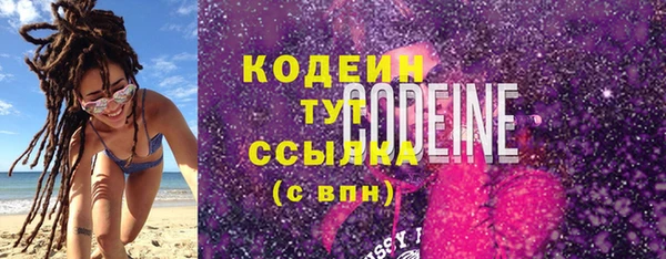 шишки Дмитриев