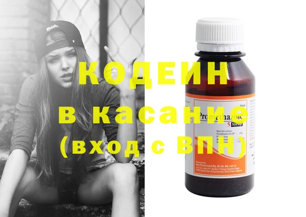 шишки Дмитриев