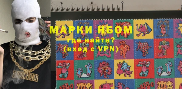 шишки Дмитриев
