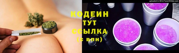 шишки Дмитриев