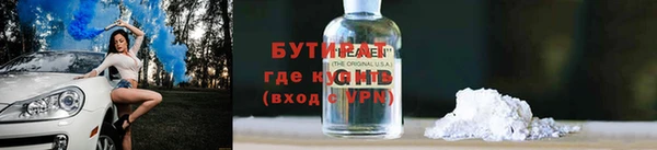 шишки Дмитриев