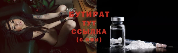 шишки Дмитриев