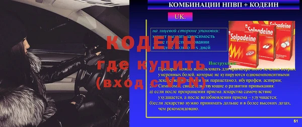 шишки Дмитриев